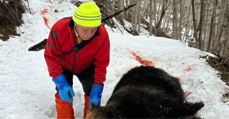 経験の浅い〈ガバメントハンター〉が手負いのクマを生む危険…「任期3年」制度の落とし穴