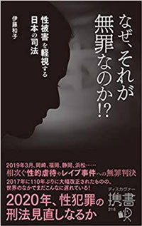 「なぜ、それが無罪なのか!? 性被害を軽視する日本の司法」(ディスカヴァー・トゥエンティワン)、伊藤和子・著、新書:285ページ