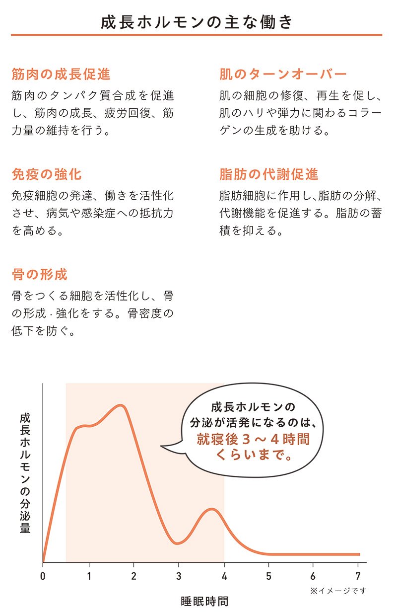 図表　成長ホルモンの主な働き