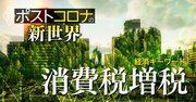 「消費税20％で所得を増やせ」京大教授が“寝た子を起こす”増税論を唱える理由