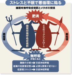 メタボと悪循環の関係に陥る「睡眠時無呼吸症候群」に要注意