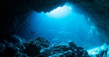生命は40億年前、海の底で生まれた。…なぜそのときから「水」はすべての生き物に不可欠なのか?