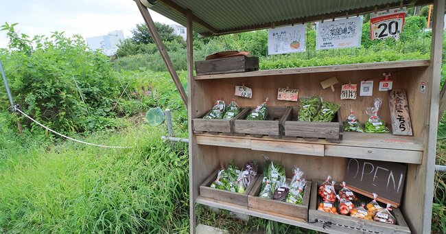田舎の野菜無人販売所が、お金を盗まれても対策しない深いワケ 