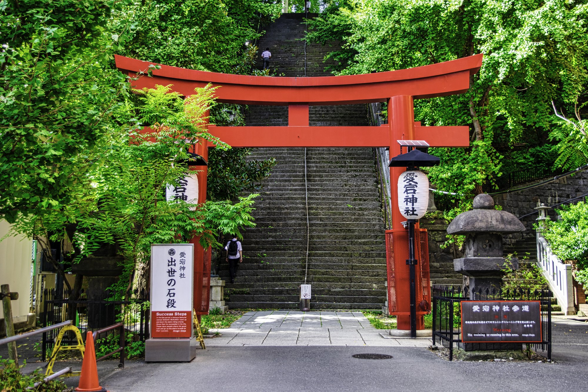 「願い事別」2024年参るべき神社15、金運アップ、仕事の成功、そして邪魔者排除は?