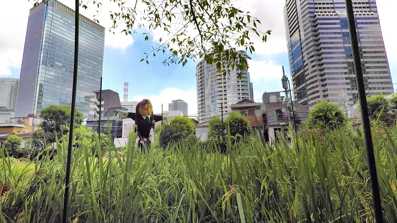 “赤短”の資産を積極活用して進化した「山脇学園」の目指すもの