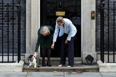 英首相官邸に「ネコの大惨事」迫る？