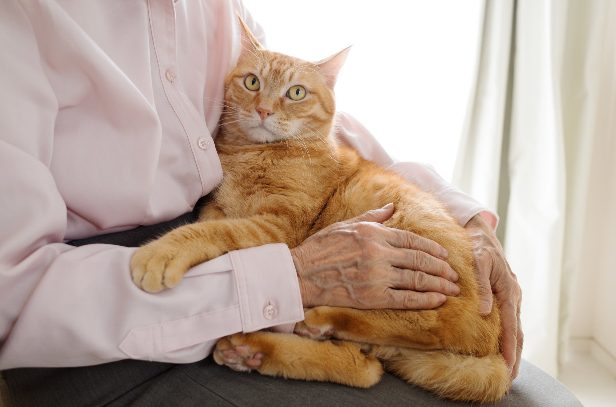 孤独を癒してくれる相棒は、犬や猫のほうが人より断然優秀!?