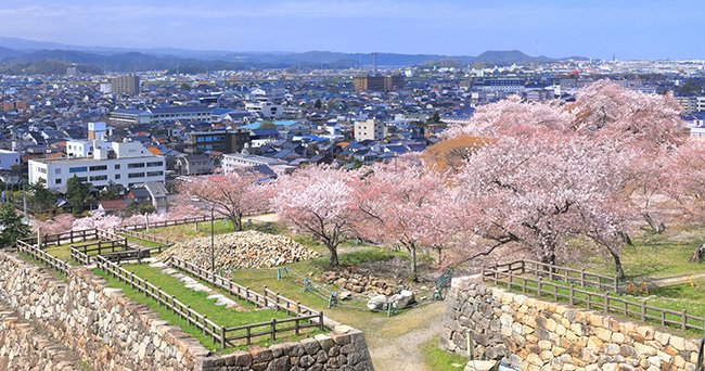 鳥取城から見た鳥取市街