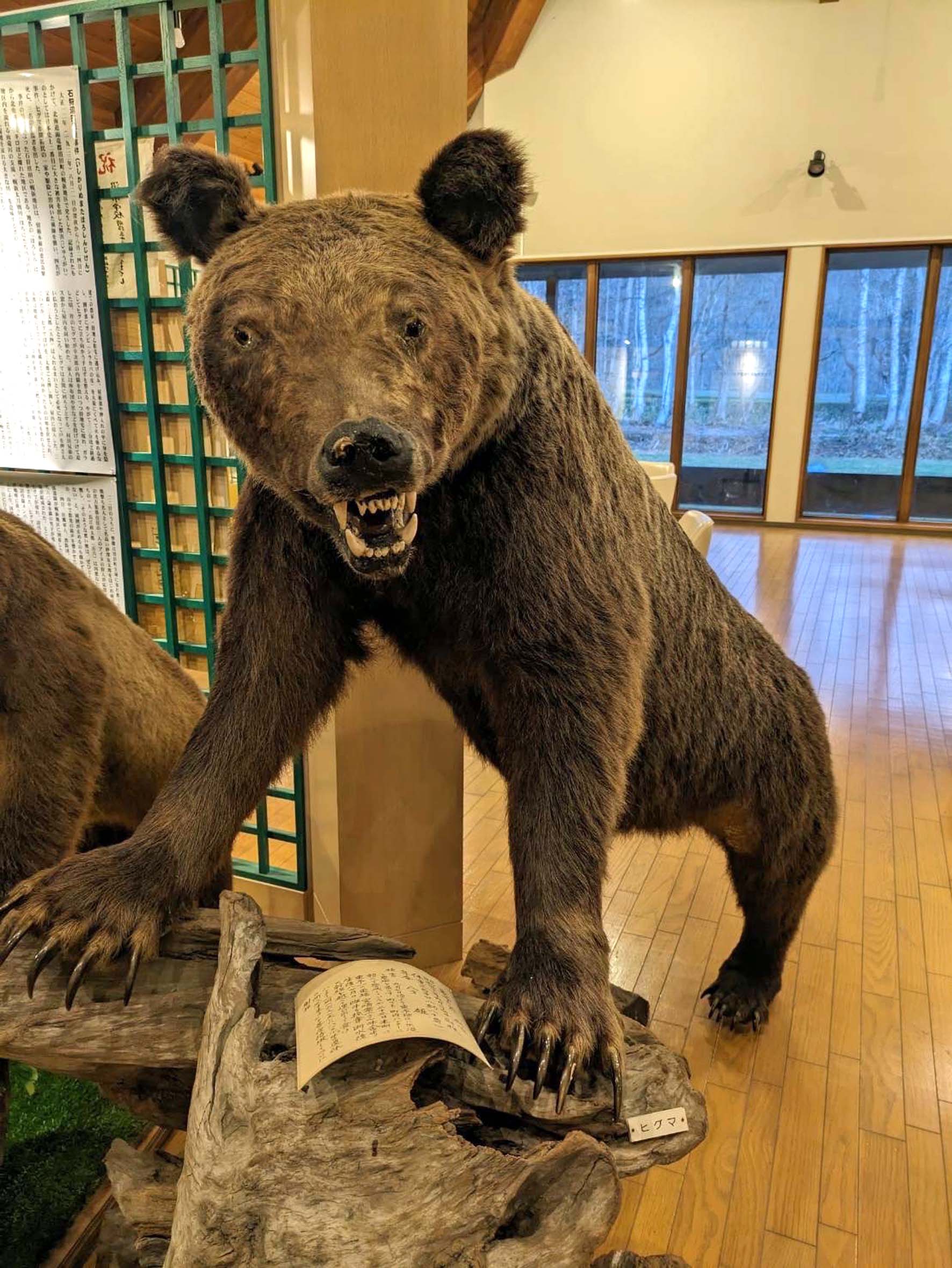 国内史上最悪の「三毛別ヒグマ事件」は“人災”だった~クマ対策なし、無防備で送り込まれた入植者の悲劇