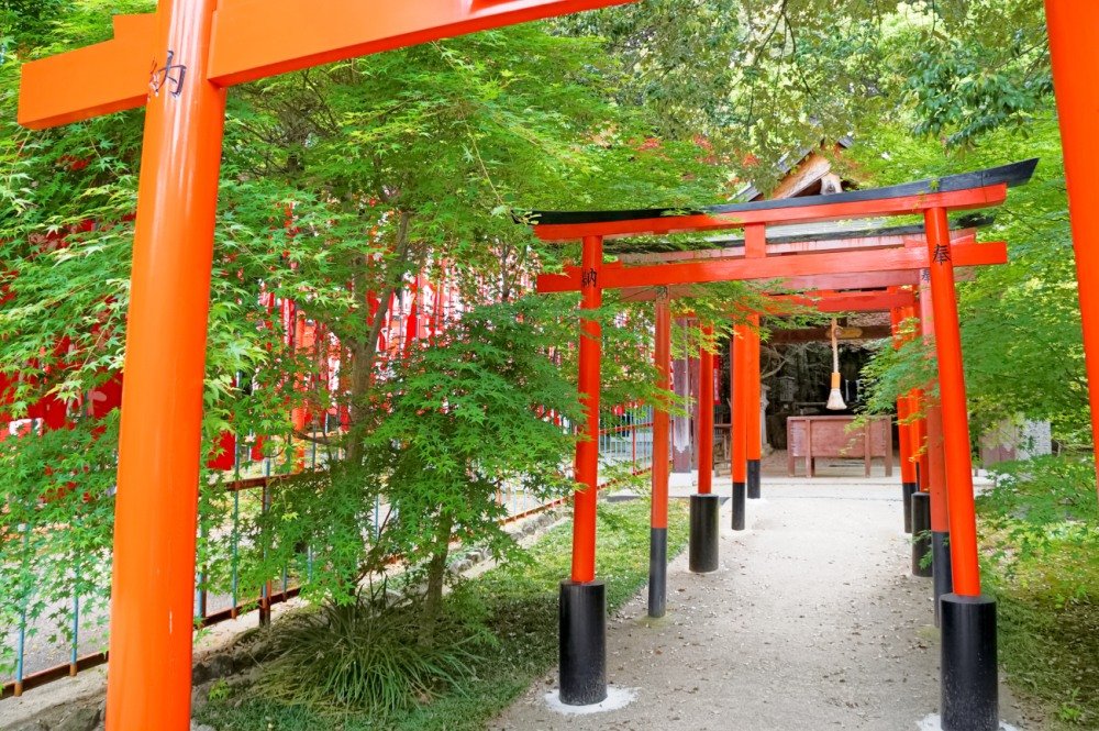 【来る年は辰年】龍神に祈ると「大きなチャンス」が来る。そのチャンスを逃すと、ちょっと残念なことも起こるので要注意！【書籍オンライン編集部セレクション】