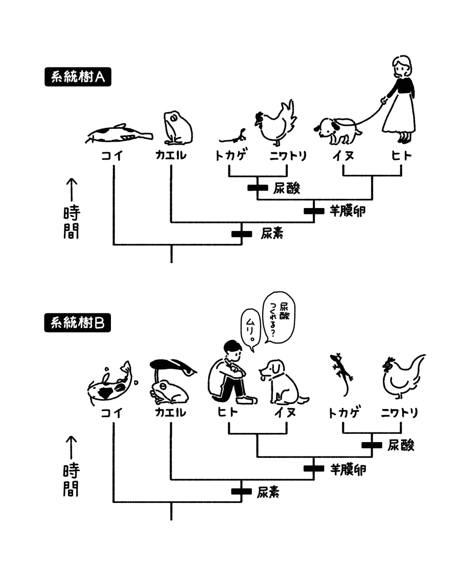 「トカゲ」は「ヒト」よりも進化している!?
