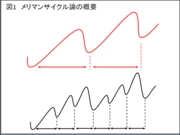 今後中期的に上昇する日本株はこの６銘柄だ!特別研究:松下誠の日本株サイクル投資法