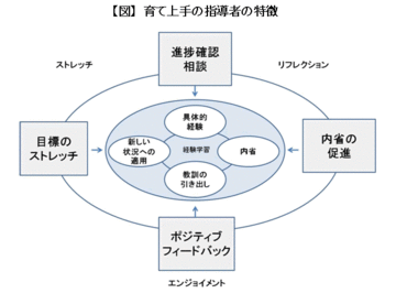 若手「育て上手」なOJT担当者の秘密神戸大学大学院経営学研究科教授 松尾 睦