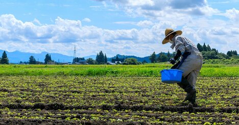 農家が8割減って「イモが主食」は本当？→むしろ日本の農業に好都合なワケ