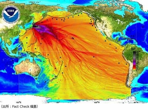 誤った説明に置き換えられた東日本大震災時の津波の高さを示した図