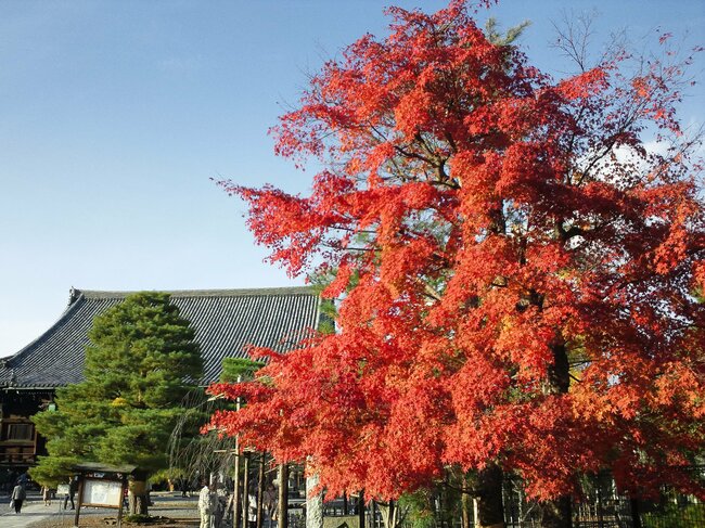 清凉寺