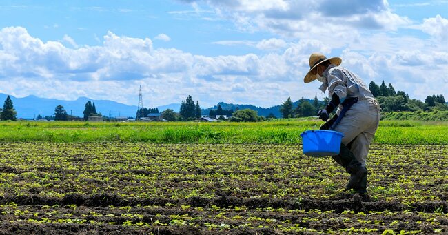 農家が8割減って「イモが主食」はウソ→むしろ日本の農業に好都合なワケ