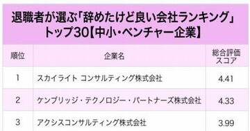 中小ベンチャー企業の退職者が選ぶ「辞めたけど良い会社」ランキング!少数精鋭が強み?