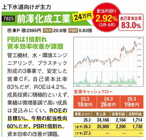 前澤化成工業の詳細