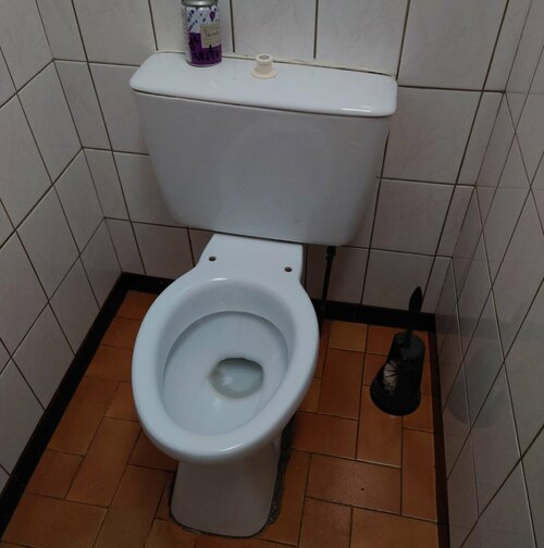 洋式なのに便座がない？思考力を試されるフランス・ジェラールメのトイレ（撮影＝ダイヤモンド・ライフ編集部）