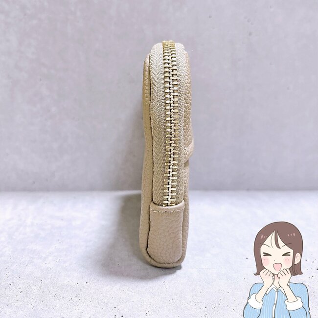 【3COINS】カードが60枚も入った！ガバッと開く「ぺたんこポーチ」小物をスッキリ持ち歩けて大助かり！《購入レビュー》