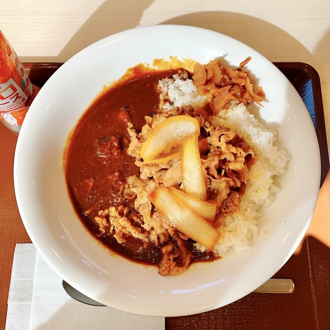 「美味しすぎて2杯目いきたい」すき家の“やけくそメニュー”期間限定なのが惜しい!「こういうのでいいんだよ」「いつものよりおいしい」《実食レビュー》