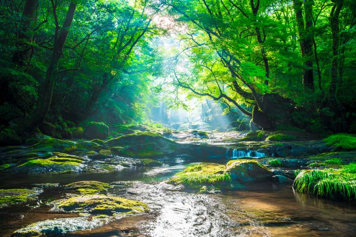 なぜ、一流は人生の本質を探るために自然に触れるのか?
