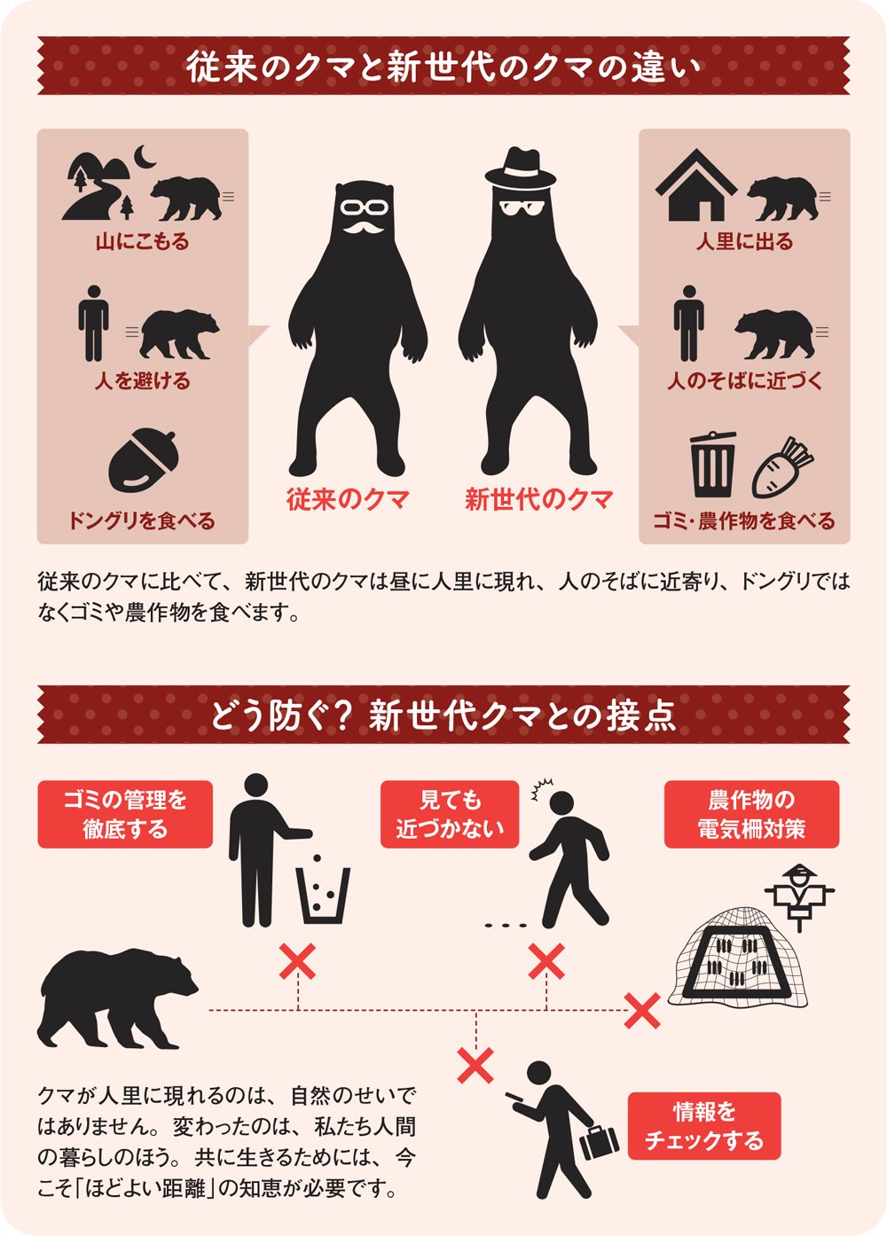 図:従来のクマと新世代のクマの違い