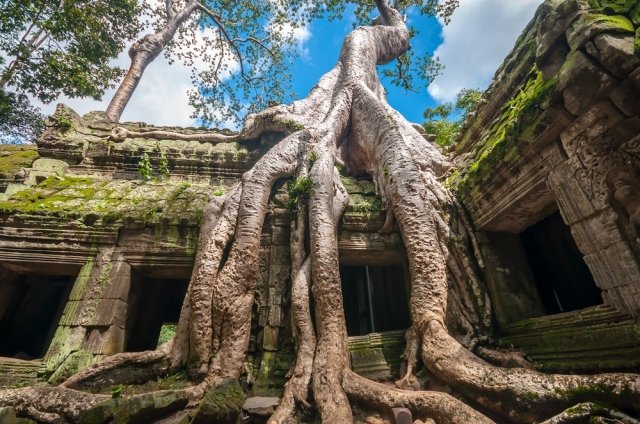 世界遺産カンボジア遺跡を 全制覇 したい 海外旅行に想いを馳せる 地球の歩き方ニュース レポート ダイヤモンド オンライン