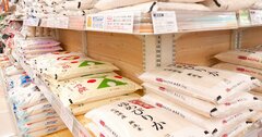 令和4年産備蓄米は「古古古米」、5kg2000円はホントに安い?プロが教える「古米の炊き方」