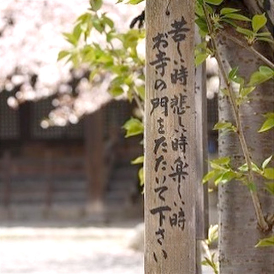 【お寺の掲示板の深い言葉 31】「仏教ハンパないって」