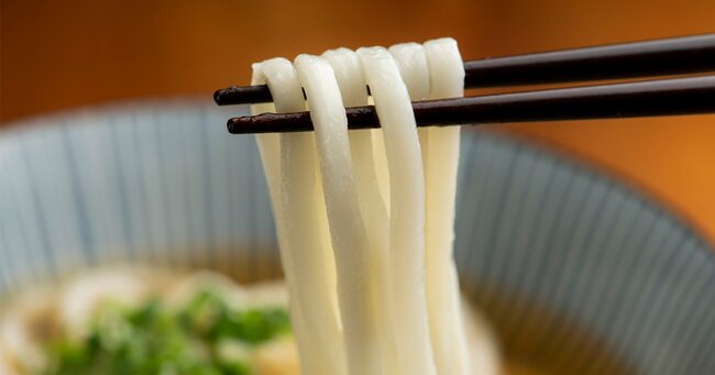 箸で持ち上げたうどんの麺