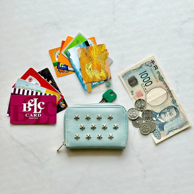 もう普通の財布に戻れないかも…！ダイソーの“高見えミニ財布”カードや診察券が21枚も入って嬉しい！