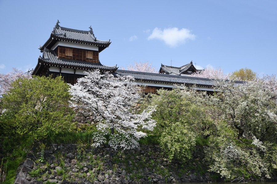 来年の大河ドラマ「豊臣兄弟!」の主人公・秀長ってどんな人?