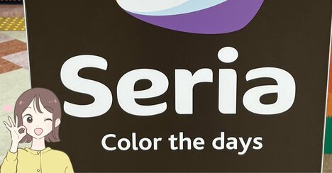 「ずっと探してた」セリアの“ドリンクホルダーになるポーチ”が画期的すぎる！「やっと買えた」「片手が塞がらなくて助かる」