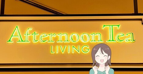 おくすり手帳や処方薬がまるっと入る！アフタヌーンティーの“ポケットたくさん収納”が理想的すぎる！「整理しやすい」「イライラが解消」