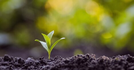 「やりたいことがわからない」症候群