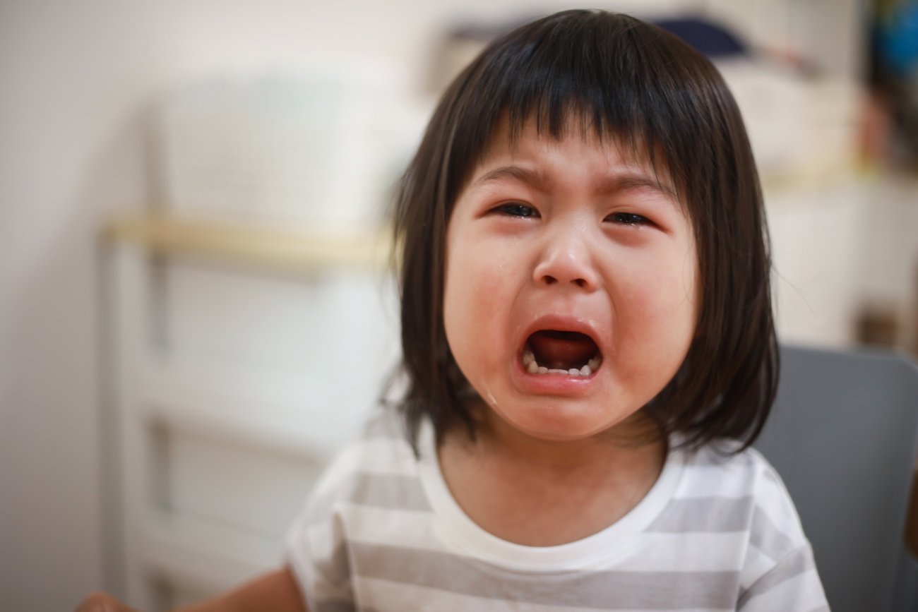 【イライラ、わがままにもうウンザリ】児童精神科医が教える、子どもたちの情緒を健やかに発達させる2つの感情