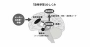 【脳科学の新常識】なぜあなたは「マイナス思考」になってしまうのか？