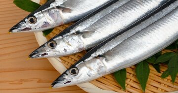 悪玉コレステロール対策の「魚の油」。効率良く摂るなら焼き魚？ 刺身？