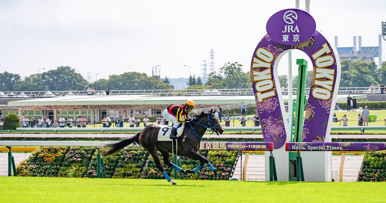 東京競馬場