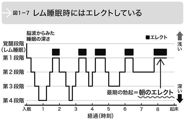 当てはまる人は要注意!テストステロンを下げてしまう人の5つの特徴