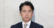 小泉進次郎大臣の2000円備蓄米、フリマ転売禁止で「転売ヤー、ざまあ」と歓喜する人が知らない事実