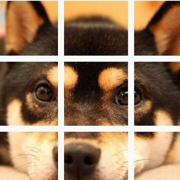 Instagramでフォロワーを増やすよくない方法