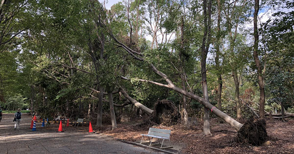 大阪城公園で 日本を襲う「猛烈台風」が地球温暖化で急増するってホント?