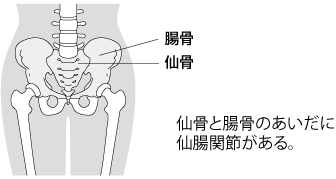 仙骨と腸骨の位置