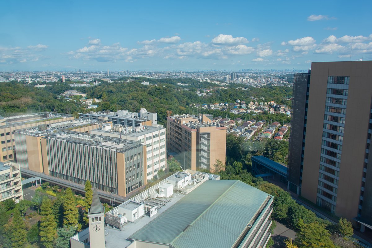 高層階から一望できる景色