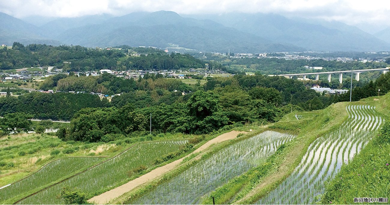 中川村飯沼地区の棚田