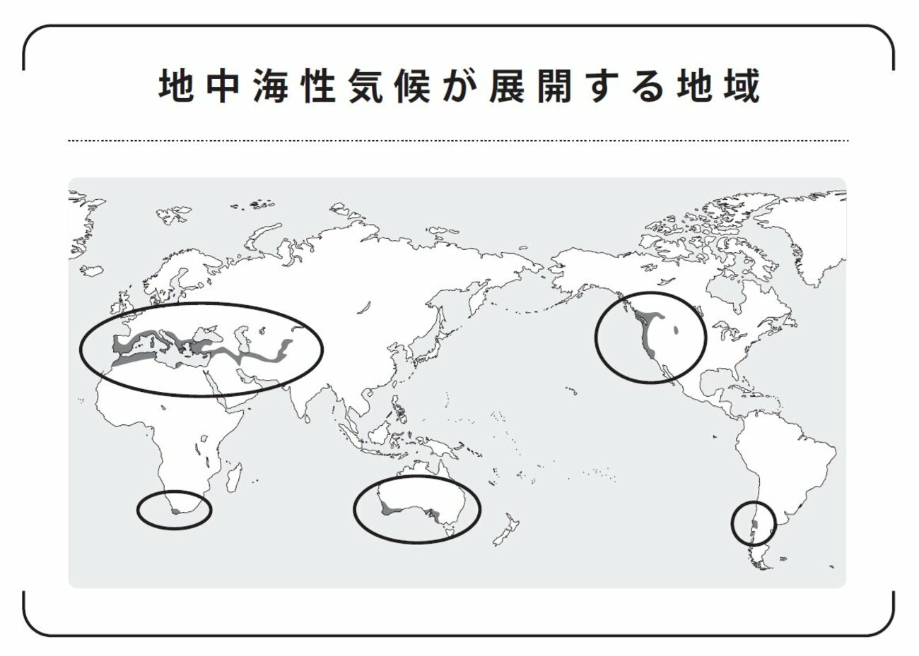 「水が少ない土地ほどブドウが甘い？」→その理由に超納得