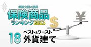 【外貨建て保険ランキング2023】2位メットライフ「ドルスマートS」、1位は？円安で人気も為替リスクに注意！